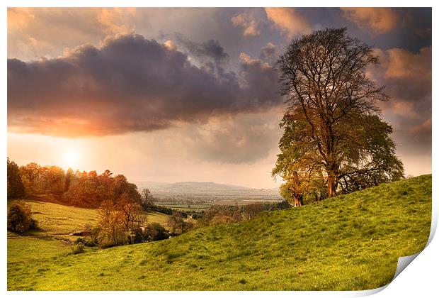 Cotswolds Sunset Print by Andrew Roland