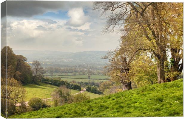 Cotswolds Landscape in Spring Canvas Print by Andrew Roland