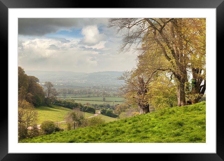 Cotswolds Landscape in Spring Framed Mounted Print by Andrew Roland