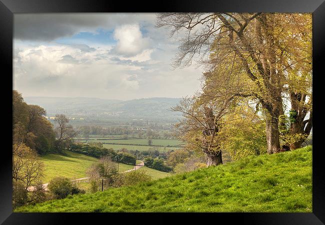 Cotswolds Landscape in Spring Framed Print by Andrew Roland