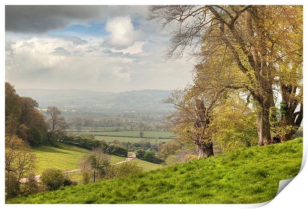 Cotswolds Landscape in Spring Print by Andrew Roland
