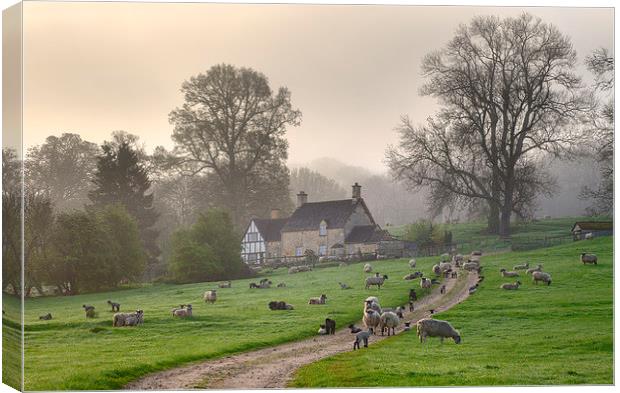 Cotswold Misty Morning Canvas Print by Andrew Roland