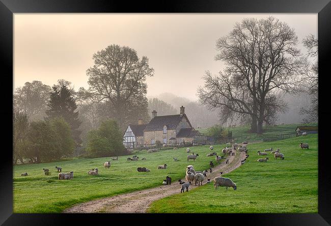 Cotswold Misty Morning Framed Print by Andrew Roland