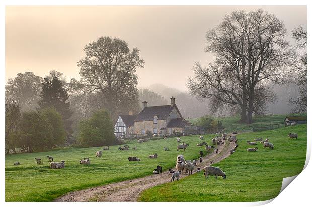 Cotswold Misty Morning Print by Andrew Roland