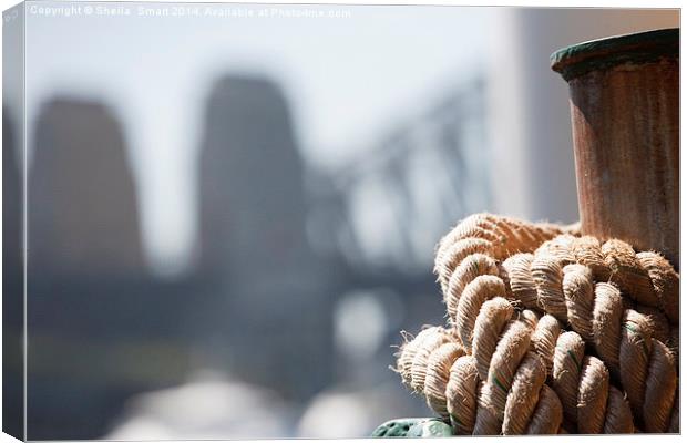 Ropes on Manly ferry with Harbour Bridge backdrop Canvas Print by Sheila Smart