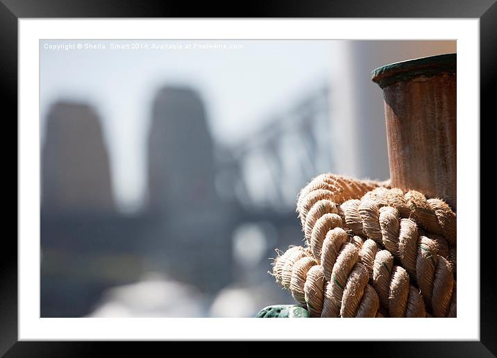 Ropes on Manly ferry with Harbour Bridge backdrop Framed Mounted Print by Sheila Smart