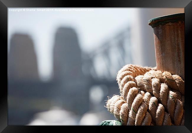 Ropes on Manly ferry with Harbour Bridge backdrop Framed Print by Sheila Smart