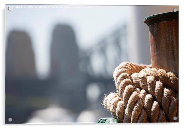 Ropes on Manly ferry with Harbour Bridge backdrop Acrylic by Sheila Smart
