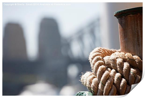 Ropes on Manly ferry with Harbour Bridge backdrop Print by Sheila Smart