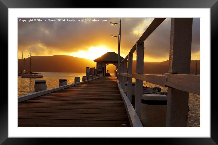 Palm Beach wharf sunset Framed Mounted Print by Sheila Smart