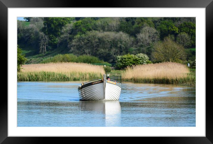 Arundel wetlands boating Framed Mounted Print by nick wastie