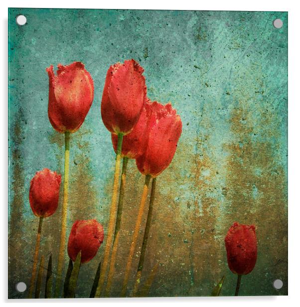 textured tulips Acrylic by Heather Newton