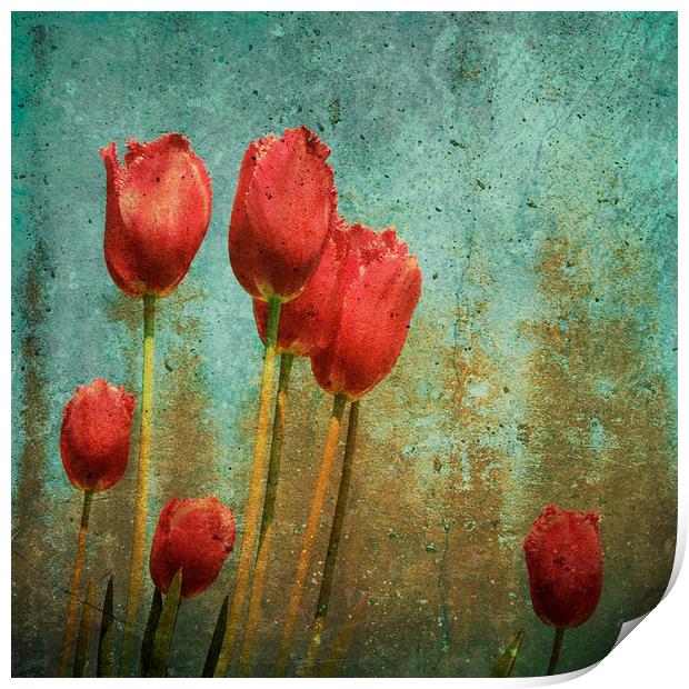 textured tulips Print by Heather Newton