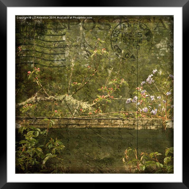 Beyond The Wall (square) Framed Mounted Print by LIZ Alderdice