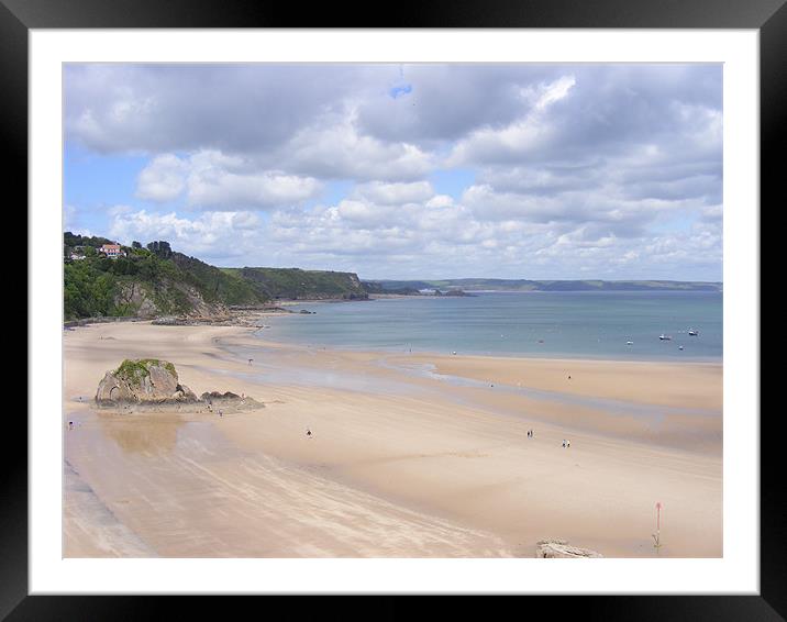 Pembrokeshire Framed Mounted Print by Shoshan Photography 