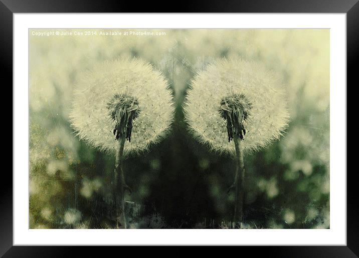 Double Heads Framed Mounted Print by Julie Coe