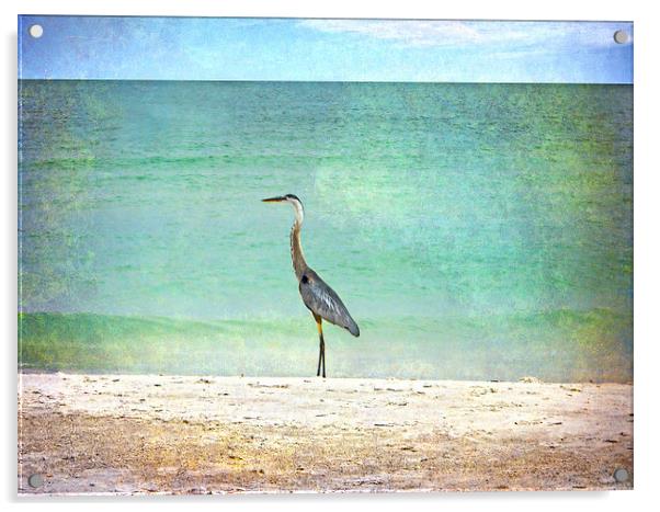 Big Blue Heron Acrylic by Judy Hall-Folde