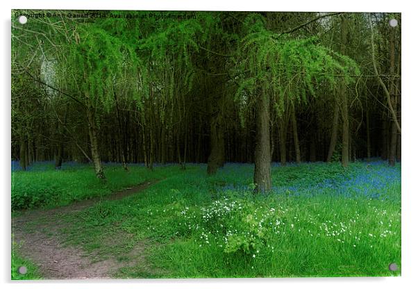 Bluebell Wood Acrylic by Ann Garrett