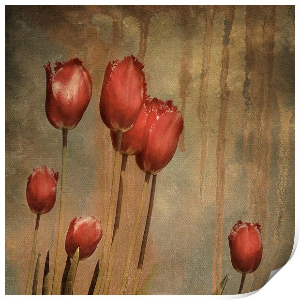 textured tulips - vintage grunge Print by Heather Newton