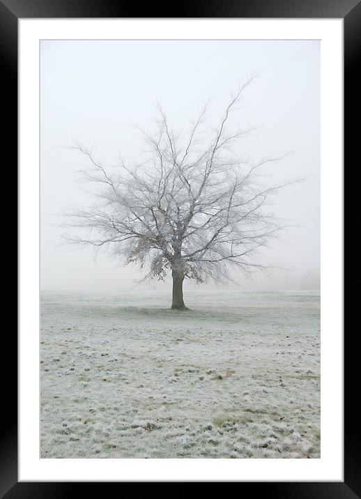 Frozen Tree, Winter, UK Framed Mounted Print by Bernd Tschakert