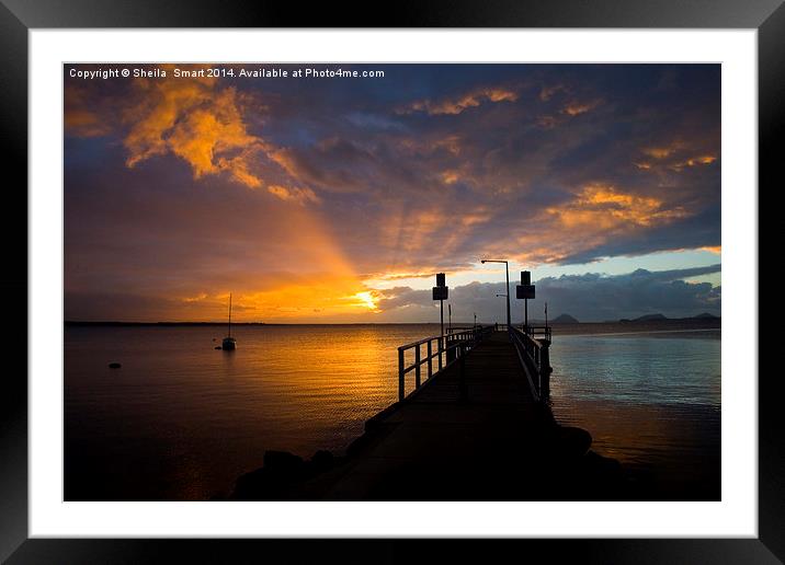 Sunrise at Salamander Bay Framed Mounted Print by Sheila Smart