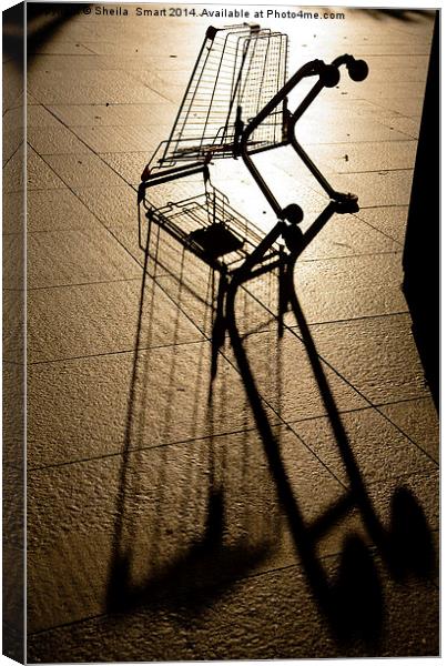 Shopping trolley silhouette Canvas Print by Sheila Smart