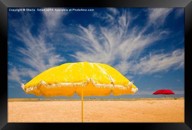 The yellow umbrella Framed Print by Sheila Smart