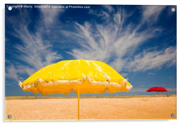 The yellow umbrella Acrylic by Sheila Smart