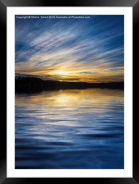 Pittwater sunset Framed Mounted Print by Sheila Smart