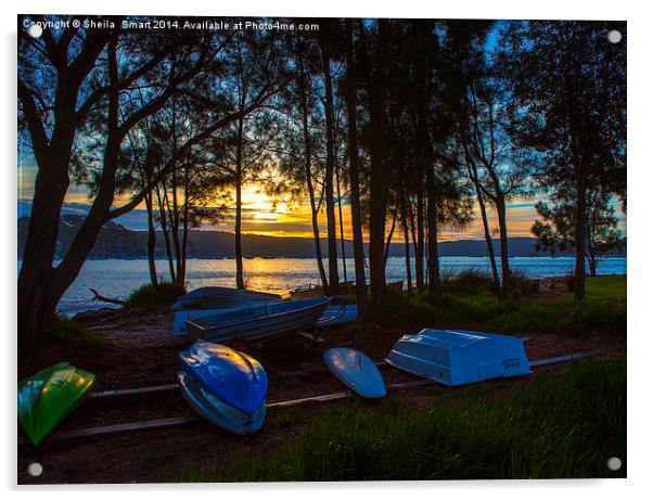 Dinghies at sunset, Pittwater Acrylic by Sheila Smart