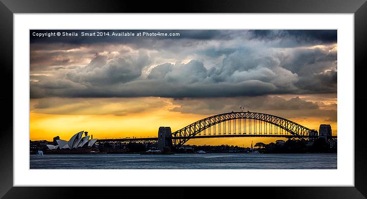 Spectacular Sydney Harbour sunset Framed Mounted Print by Sheila Smart