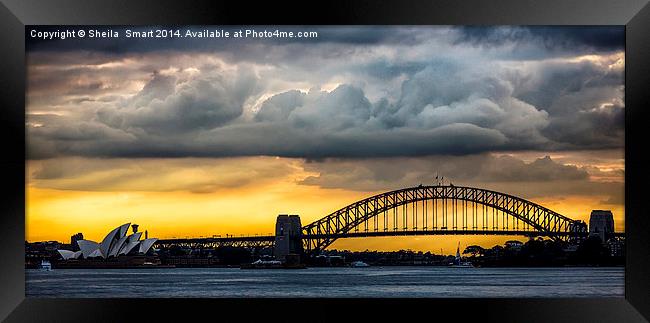 Spectacular Sydney Harbour sunset Framed Print by Sheila Smart