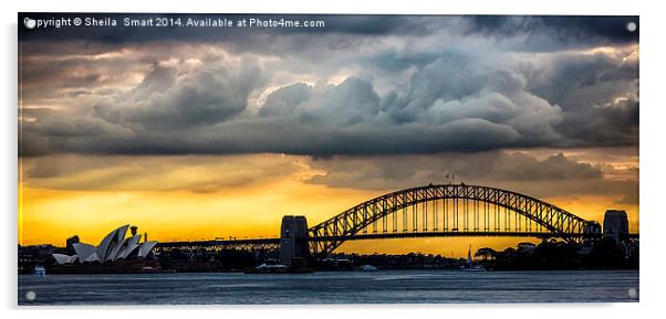 Spectacular Sydney Harbour sunset Acrylic by Sheila Smart