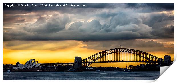 Spectacular Sydney Harbour sunset Print by Sheila Smart