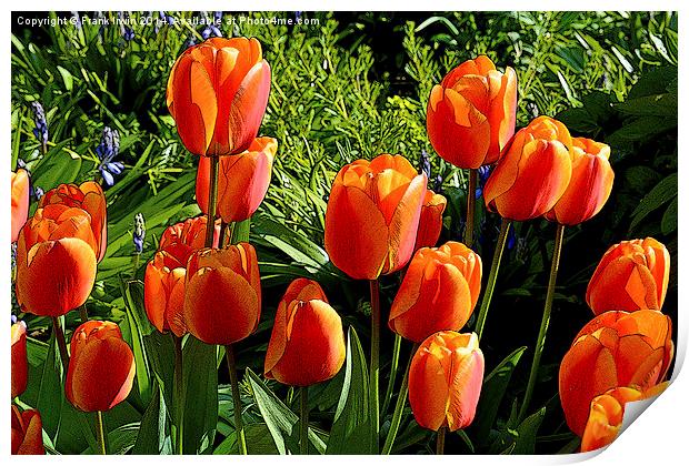 Artistic tulips in Spring Print by Frank Irwin