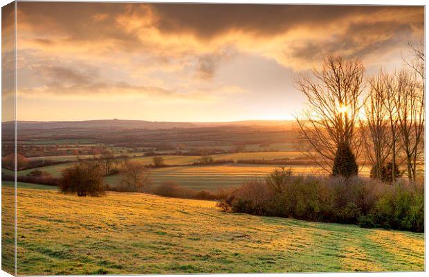 Golden winters morning, England Canvas Print by Andrew Roland