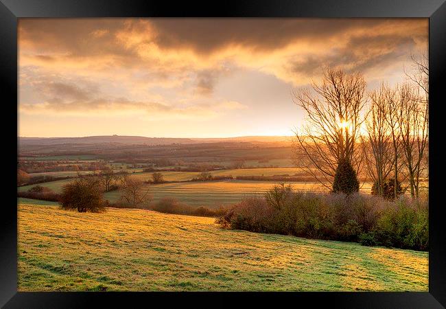 Golden winters morning, England Framed Print by Andrew Roland