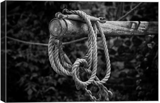 Old Rope Canvas Print by David Hare