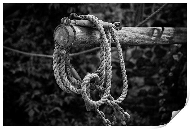 Old Rope Print by David Hare