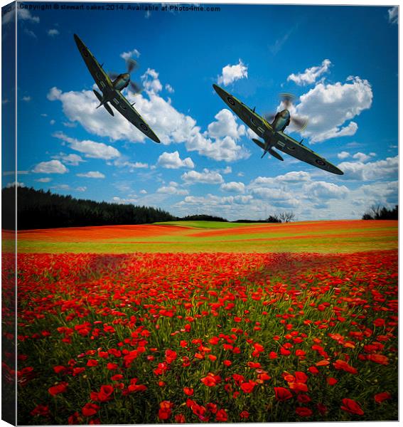 Spitfires Tribute Poppy Flypast Oil Painting Canvas Print by stewart oakes
