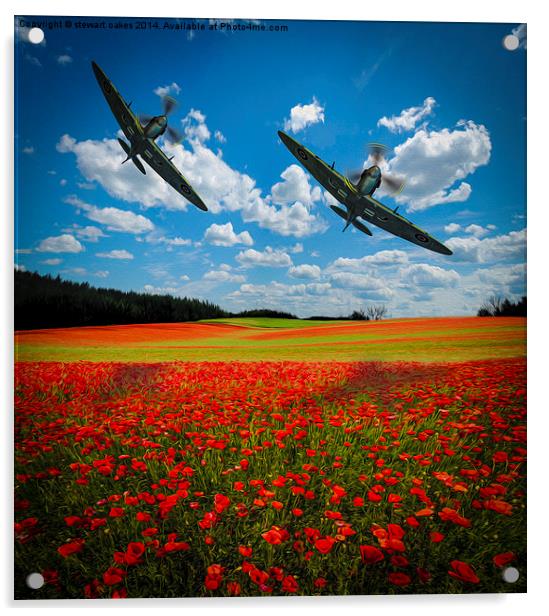 Spitfires Tribute Poppy Flypast Oil Painting Acrylic by stewart oakes