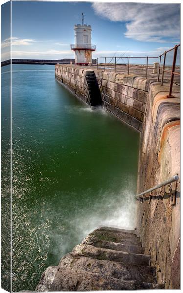 Whitehaven Harbour Steps Canvas Print by Dave Wilson