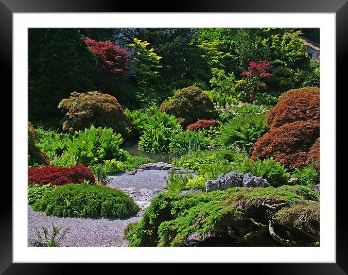 Gardens Framed Mounted Print by Stephen Brown