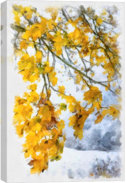 Yellow leaves and first snow Canvas Print by Matthias Hauser