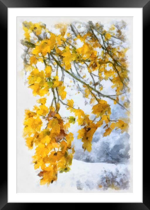 Yellow leaves and first snow Framed Mounted Print by Matthias Hauser