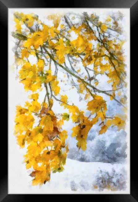 Yellow leaves and first snow Framed Print by Matthias Hauser