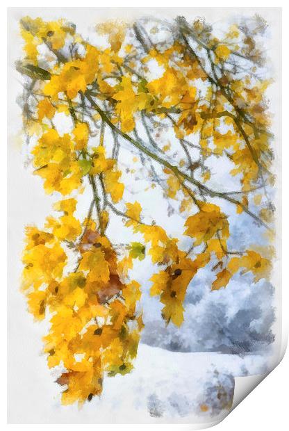 Yellow leaves and first snow Print by Matthias Hauser