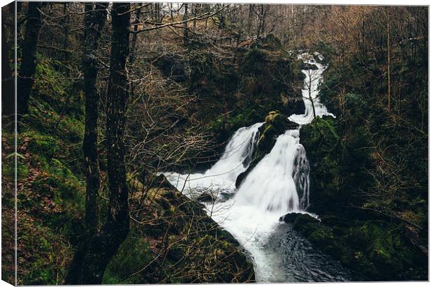 Colwith Force waterfall during heavy rain. Canvas Print by Liam Grant