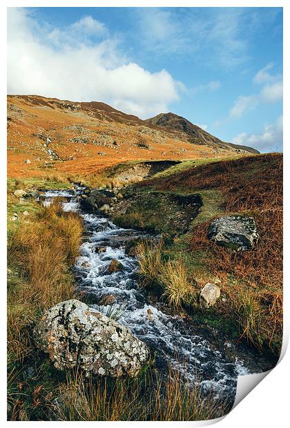 Cinderdale Beck flowing below Whiteless Pike towar Print by Liam Grant