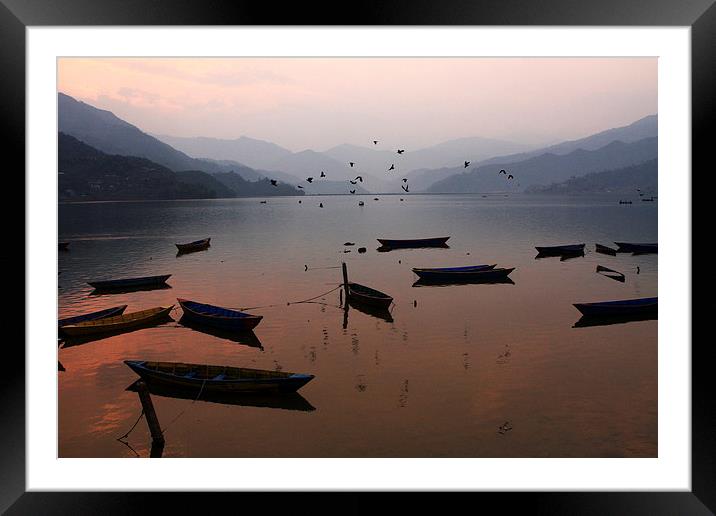 Fishing Boats - Phewa Lake - Nepal Framed Mounted Print by Aidan Moran